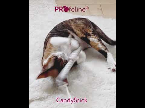 Profeline - Cat Wand Woody