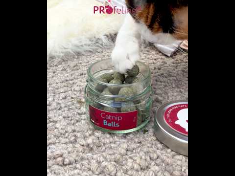 Catnip Balls / Katzenminze Bälle