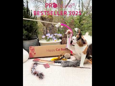 Happy Cat Box - Bestseller